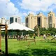 Despertos em Cristo São Paulo🌾
