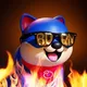SUJON AIRDROP 🌹🌹🌹