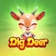 DigDeer Community