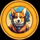 🚀 Doge Astro Community 🐕