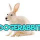 DogeRabbit