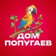 ДОМ ПОПУГАЕВ 🦜 Москва | Краснодар