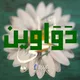 دواوين وشعراء