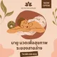 มายู นวด ระยอง Thai Rayong Massage