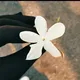 اثر قبل الرحيل 🪷🫀