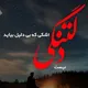 گریه‌های خاموش