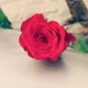 Gujarati Shayari