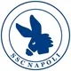Хроники Наполи | Napoli