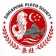 Singapore Pleco Society 🐟🇸🇬