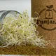 🌱 Funjar.nl / Bewust consumeren