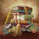 Library_لائبریری 📚