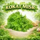 Kokat Misr