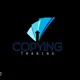 کپی ترید-copy trading