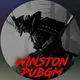 Winston PUBGM🫂
