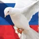 Zdieľaná doprava Slovensko za Mier