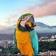 Ventas Caracas