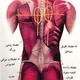 ماساژ درمانی و رابطه ی جنسی