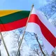 Беларусы в Литве 2.0
