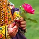 🌹دګلونو ګېډۍ🌹