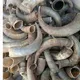 Tanzania Exporters