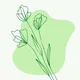 Flowers Montenegro Herceg Novi | Цветы Черногория Херцег Нови