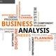 Business Systems Analysts Worldwide