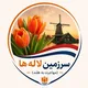 سرزمین لاله‌ها | مهاجرت به هلند