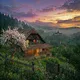 Затишна Румунія 🏡🇷🇴