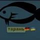 TARANKA_DE