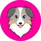 🐕 $ASS: Australian Safe Shepherd 🐕