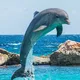 XORAZM.BALIQCHILIK.N1🐠🐟🐬🐳🐋🦈