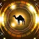 Arab community 🇦🇪 to the moon