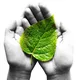 Бали 🌱 Убуд 🧘‍♀️ Экология ♻️