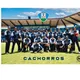 🐶 Cachorros de Holguín