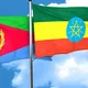 Eritrean Press-Amharic