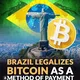 investimentos brasileiros em bitcoin 🇧🇷