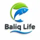 Baliq Life