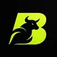 Copy Trading Bull Run