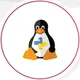 Python + Linux Experts