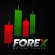 forex trading course