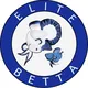 Elite Betta (Zheng Hao) bidding group