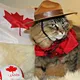 Emily’s life in Canada 🇨🇦