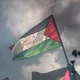 جامعة طرابلس / كلية الهندسة دفعة 2021 💚🌷 ((2002))