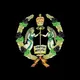 ኦርቶዶክስ ተዋሕዶ ማህደር ትምህርት