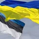 Украинцы в Эстонии - ЧАТ (Таллин, Нарва, Тарту, Пярну) | Українці в Естонії - Эстония 🇪🇪🇺🇦