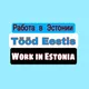 Работа в Эстонии🇪🇪 | Work in Estonia🇪🇪