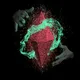 Ethereum New Pairs Bot 🤖