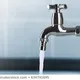 Ethiopian Water Works Professionals & Institution Association