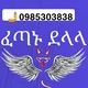 አዲስ አበባ አጠቃላይ የድላላ ስራ