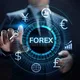 Forex Trader Group Chat